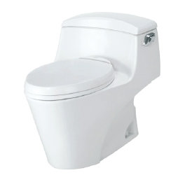 توالت فرنگی CW923GBT